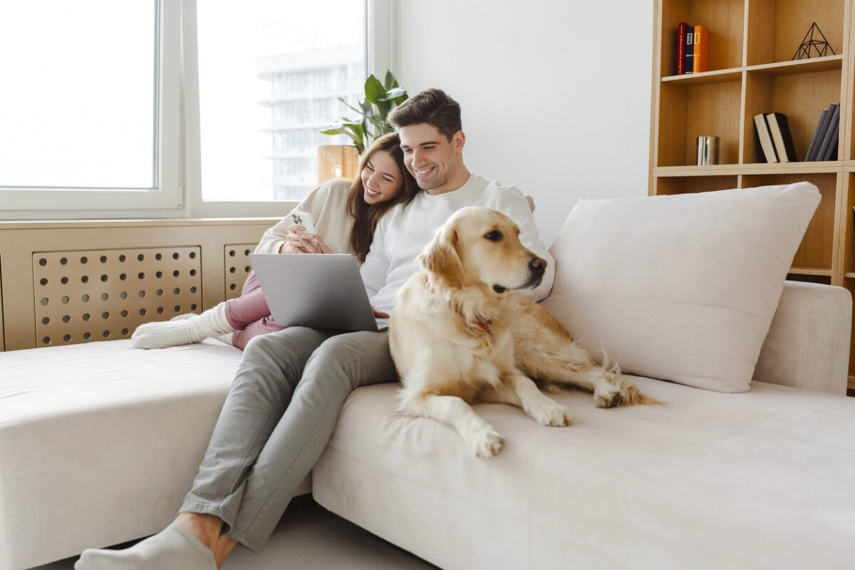 Portrait of happy young couple using laptop, man holding mobile phone, hugging dog, sitting together on comfortable sofa at home. Sorting out their mortgage.